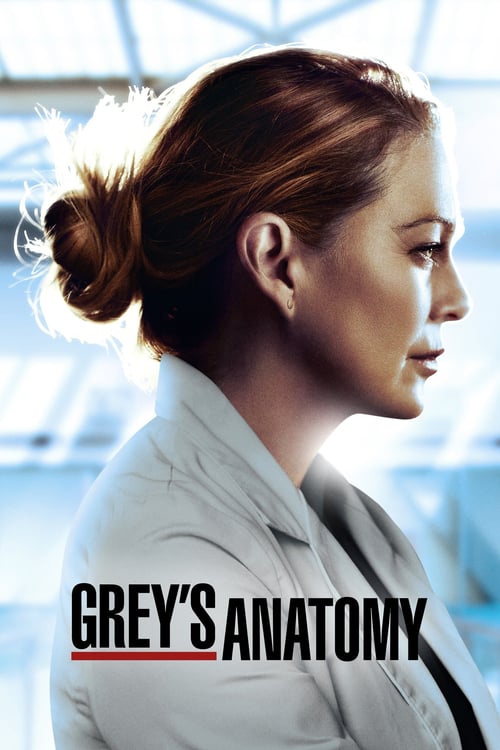 Grey's Anatomy streaming gratuit vf vostfr 