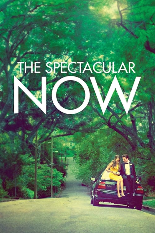 The Spectacular Now streaming gratuit vf vostfr 